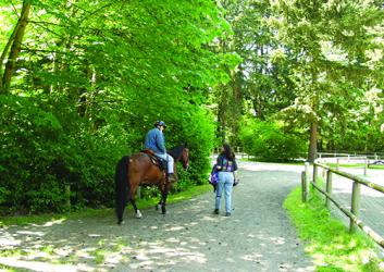 Bridle Trails State Park Horse Rider and Walker