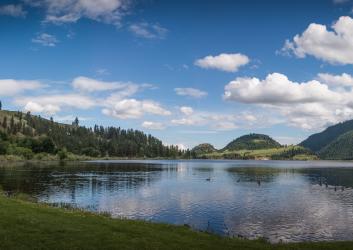 A view from the edge of a lake with ducks swimming in the water and trees and hills in the background