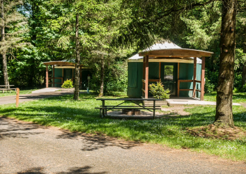 Paradise Point Yurts with trees