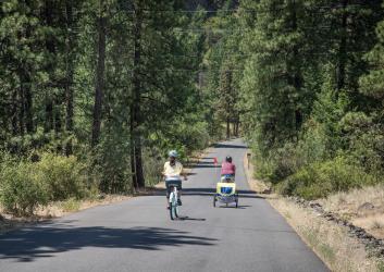 Two bicyclists ride downhill on a paved road through pine trees.