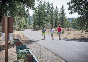 Three joggers run in the sunshine along a paved road through trees and a rocky field.