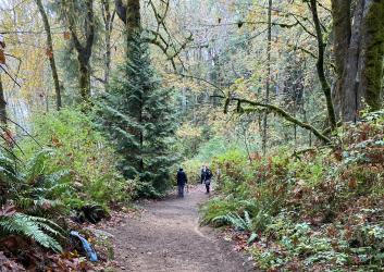 Kopachuck Trails people walking in forest autumn 