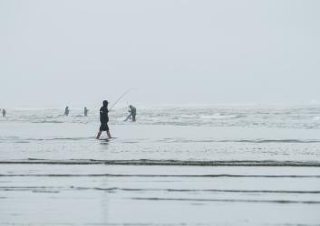 Fishing in the surf at Griffiths-Priday.