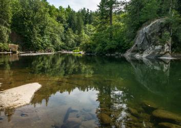 Looking over the calm, brown and green river with large rocks poking through the water. Evergreen trees are down river with a blue sky in the background.. 