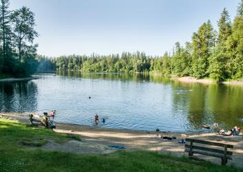 Looking down the lake from the grassy lawn, with the sandy beach on a slight hill with users swimming, towels and belongings on the beach and a person sitting on a bench. Evergreen trees and green shrubs and trees line the lake that is reflecting the clear blue sky. 