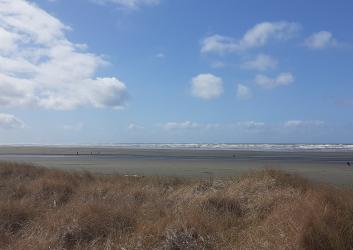 Sand dunes at Pacific Beach