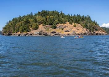 Skagit Island from a distance 