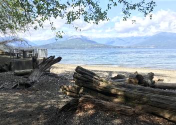 Driftwood on pebble beach, rolling green mountains under white clouds.