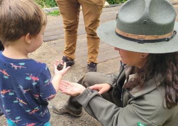 Female presenting Interpretive Specialist with a ranger hat and green jacket showing a child in a blue shirt with dinosaurs on it a slug. 