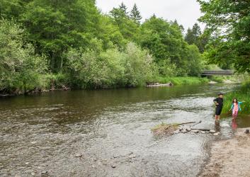 A wide angle photo of a green river in the woods and two children at the edge.