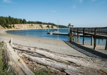 dock stretching over beach into water