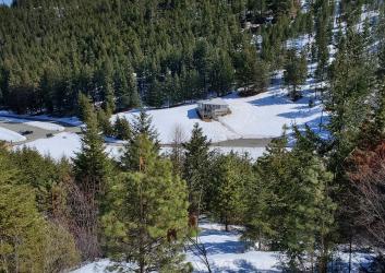 snowy valley surrounded by forest