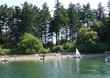 gravel beach with forest on shore