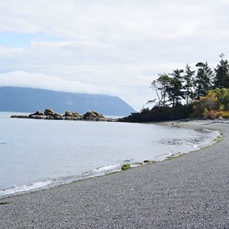 Rocky beach coastline with trees and islands in the distance