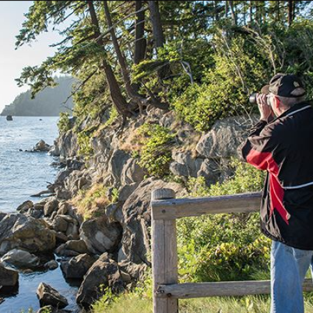 Person taking photo's of the beach 