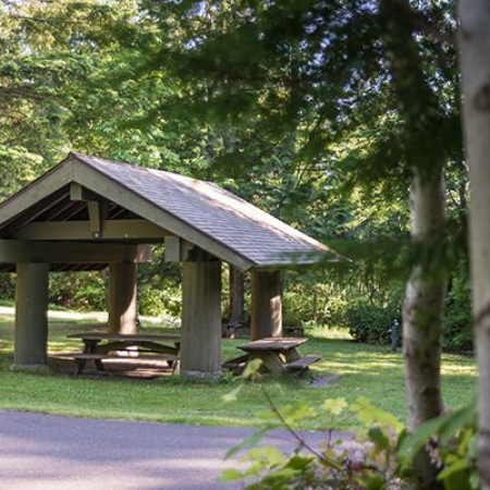 Picnic table shelters on a sunny day with green grass