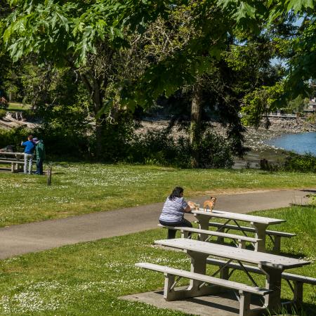 Picnic area, shoreline, bbq braziers, grass lawns