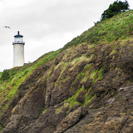 The ocean cliff with the North Head Lighthouse in the distance. 