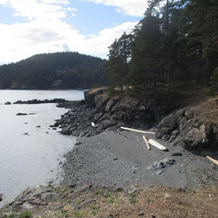 Rocky beach with drift wood