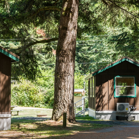 Dosewallips Cabins Exterior