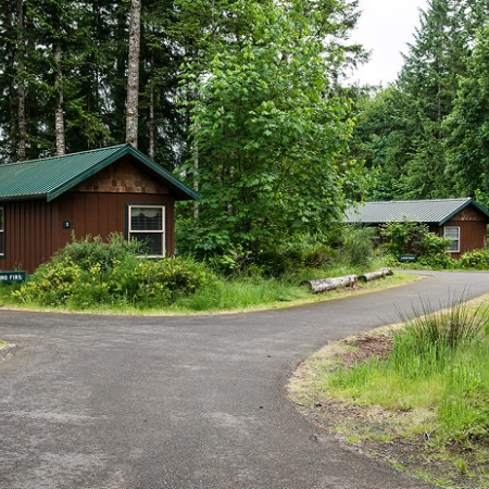 Ike Kinswa Cabins Exterior with trees