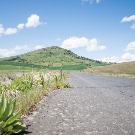 View of Steptoe Butte from bottom of the road.