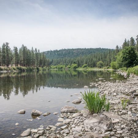 The rocky edge of the Spokane River with trees lining each shore.