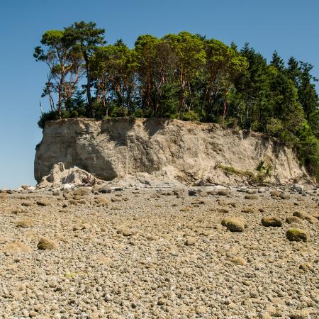 Cutts Island low tide rocky beach on puget sound