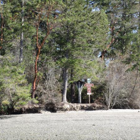 Eagle Island shore and information board trees beach  