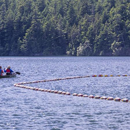 view of the lake buoyed swim area and canoers outside of the swim ropes