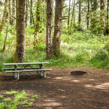 flat campsite under trees surrounded by shrubs, with picnic table and fire ring