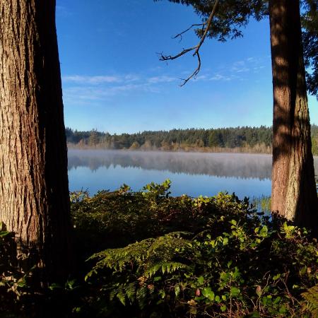 Lake at Millersylvania.