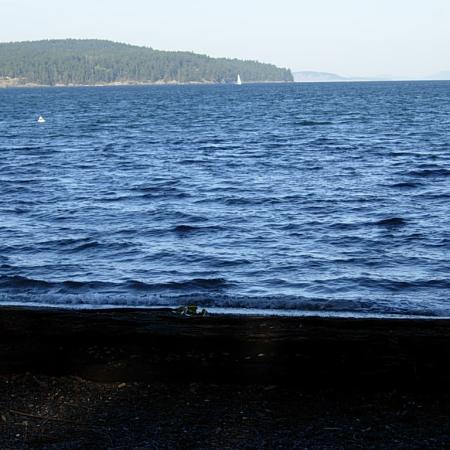 Shoreline with trees in the distance.