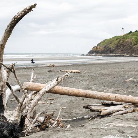 Looking over driftwood on the beach at the rocky, grassy cliff at the lighthouse poking overtop. 