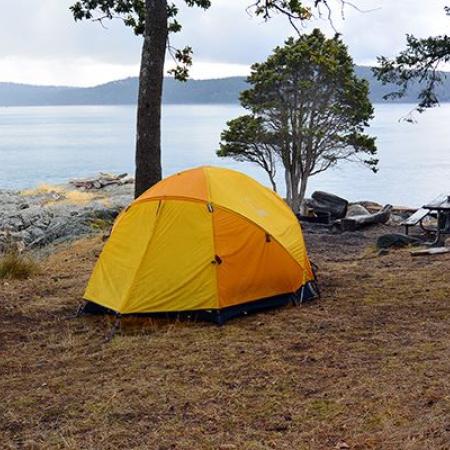 A small, yellow tent sits on brown ground coverage next to a picnic table and firepit. Two trees sit close to the rocks leading to the grey water. Tree covered hills can be seen across the water.