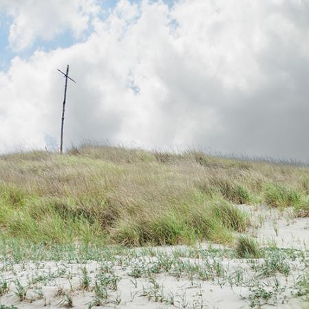 White clouds and a light blue sky over shrubby dune grasses and a pale, sandy shore