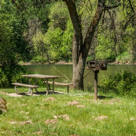 In green grass, a picnic table sits on a cement pad, with a standing barbecue next to it. In the background is a river with green bushes and trees are seen.