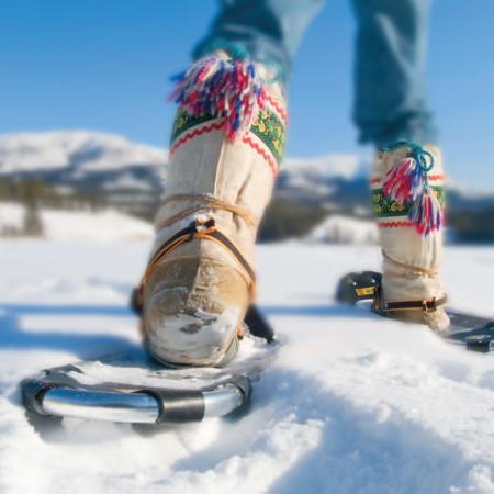 Colorful boot in snowshoe