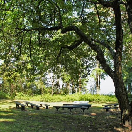 Reservable amphitheater overlooking Port Townsend Bay. 