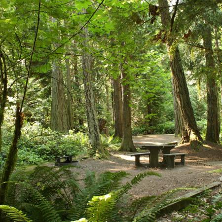 Fort Townsend Campsite