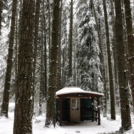 Yurt covered in snow surrounded by tall evergreen trees