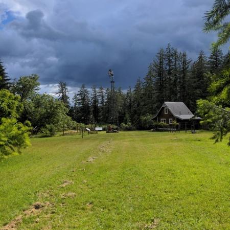 Field with cabin in background