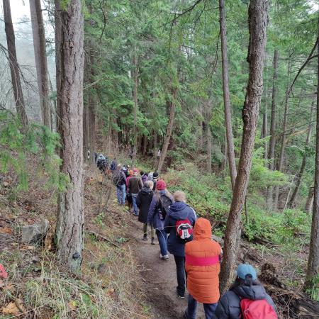 Hikers in bright colored jackets walking in a line down a wooded trail