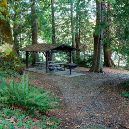 Penrose Point picnic shelter in trees