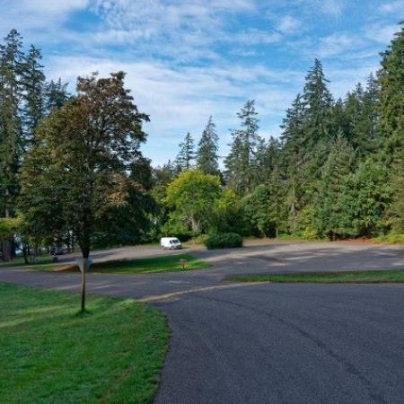 Joemma Beach road with trees