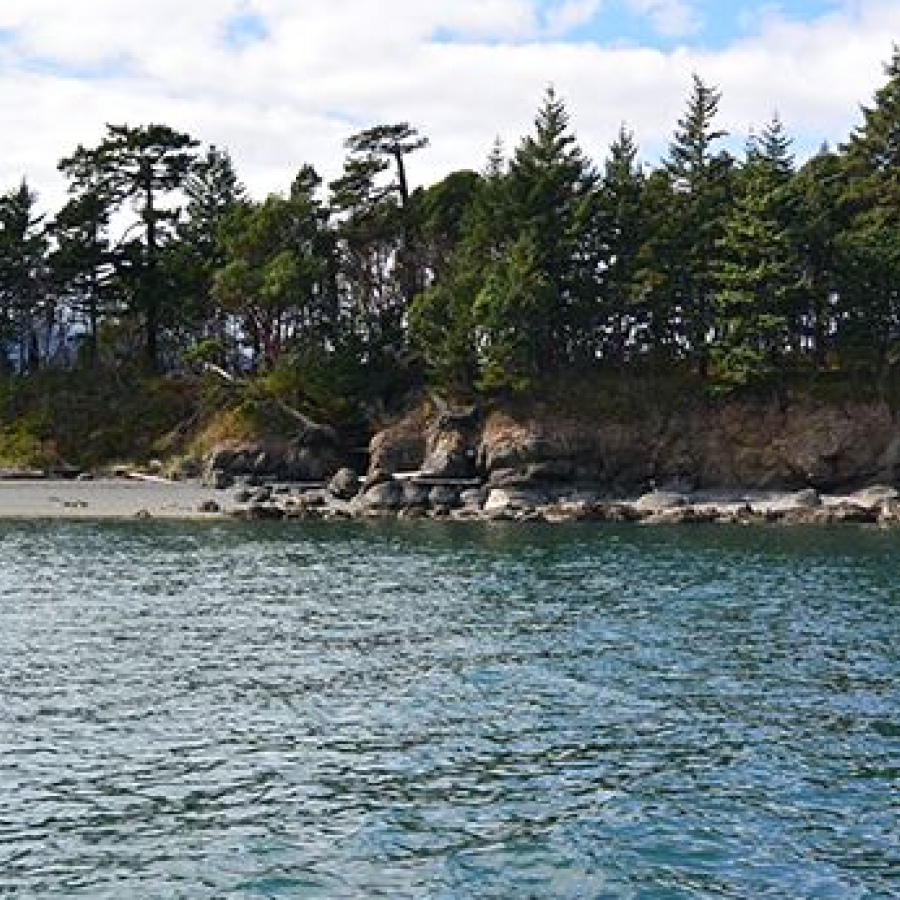 View of the shoreline from the water