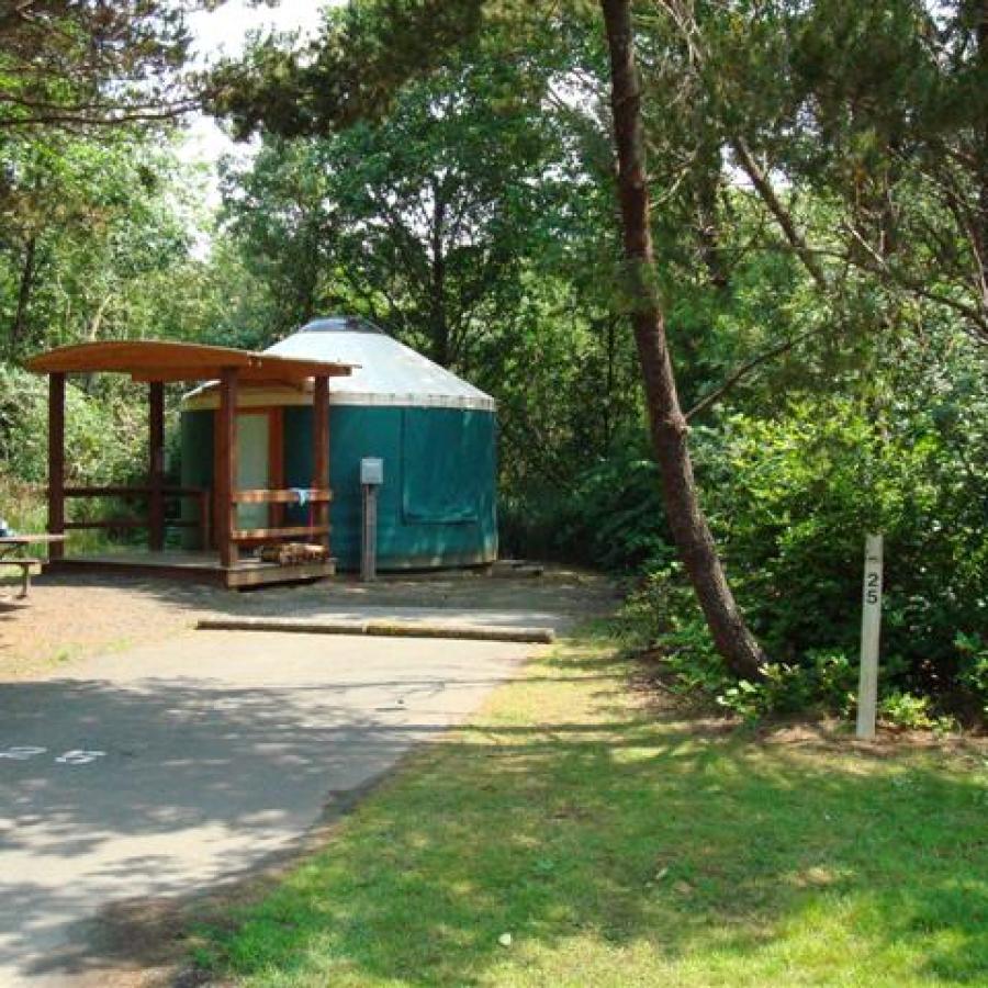 Grayland Beach Yurt with trees and parking pad