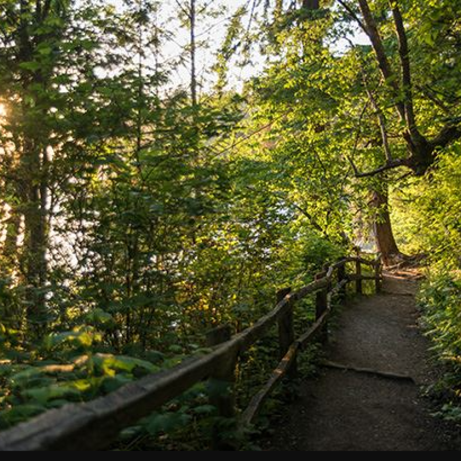 Walking on a trail with views of the ocean on a sunny day