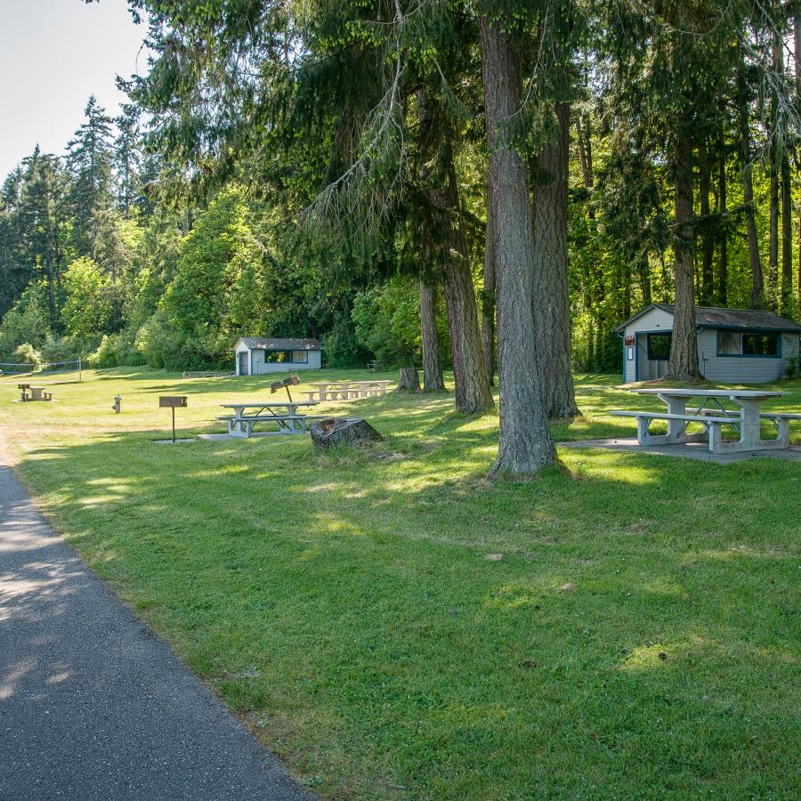 Picnic area, picnic shelters, forest, grass lawns, trails, shoreline