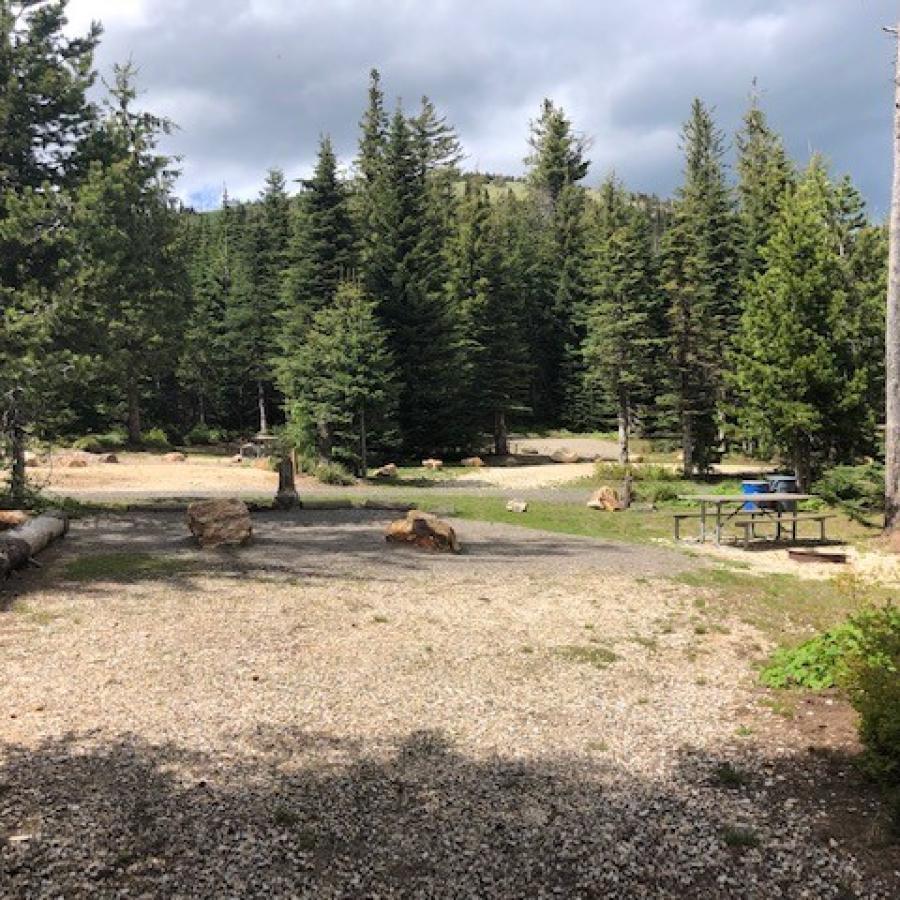 A view of a few primitive campsites on Mount Spokane with tall trees and the summit visible in the background.